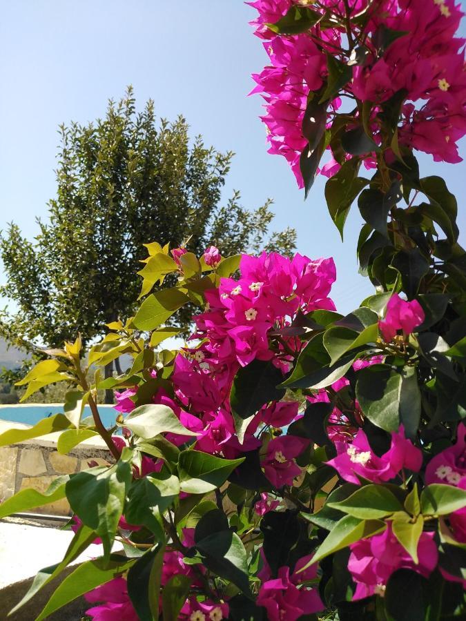 Apartment With Pool In Tzanata Kefalonia Dhimisianata Екстер'єр фото